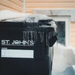 Vermicomposting in Winter: A Beginner's Guide to Keeping Worms Alive in the Cold
