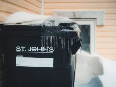 Vermicomposting in Winter: A Beginner's Guide to Keeping Worms Alive in the Cold