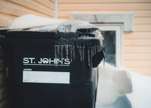 Vermicomposting in Winter: A Beginner's Guide to Keeping Worms Alive in the Cold
