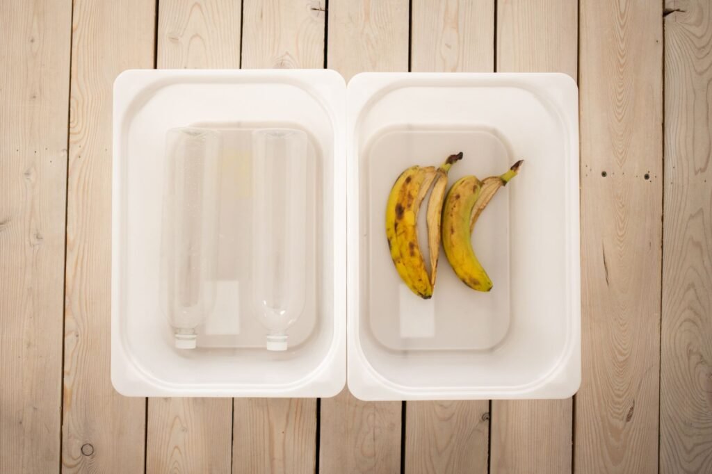 Worm Bin Materials: Choosing the Right Setup for Vermicomposting