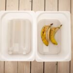 Worm Bin Materials: Choosing the Right Setup for Vermicomposting