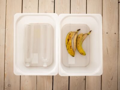 Worm Bin Materials: Choosing the Right Setup for Vermicomposting
