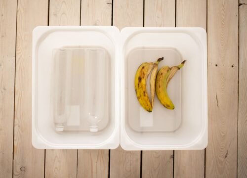 Worm Bin Materials: Choosing the Right Setup for Vermicomposting
