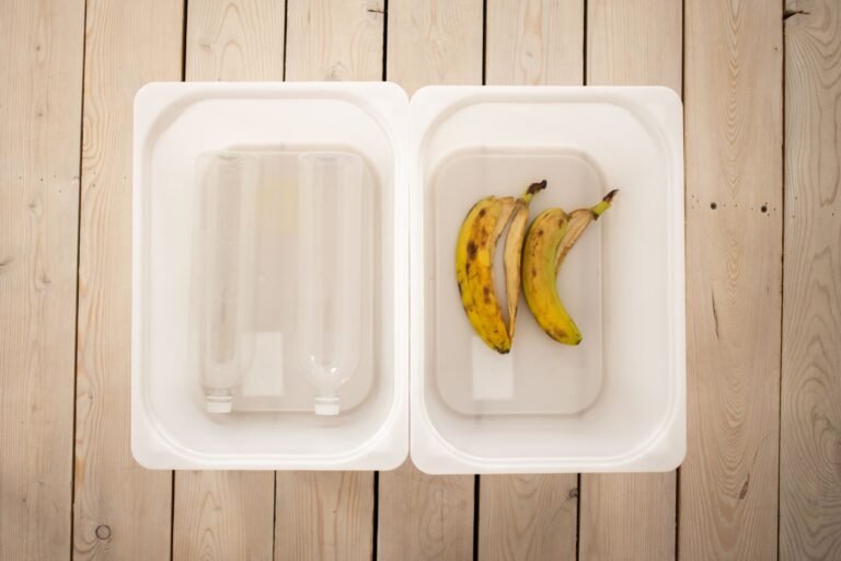 Worm Bin Materials: Choosing the Right Setup for Vermicomposting