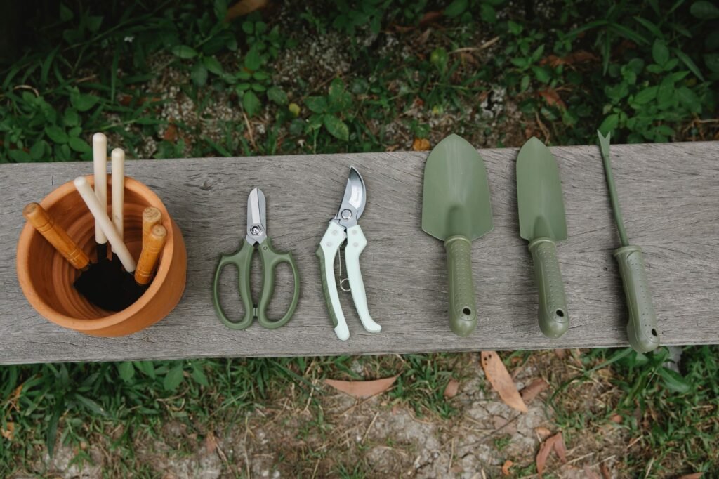 Worm Bin Tools Every Beginner Needs Fast: 5 Essentials