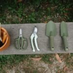 Worm Bin Tools Every Beginner Needs Fast: 5 Essentials