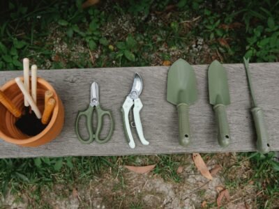 Worm Bin Tools Every Beginner Needs Fast: 5 Essentials