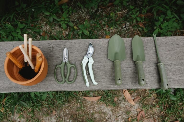 Worm Bin Tools Every Beginner Needs Fast: 5 Essentials
